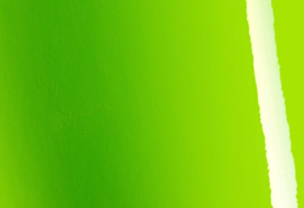 Gloss Tropical Vacation Green
